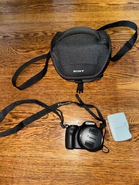Canon PowerShot SX540 with Sony Black Camera Case